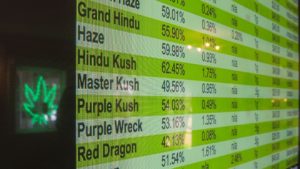 cannabis market