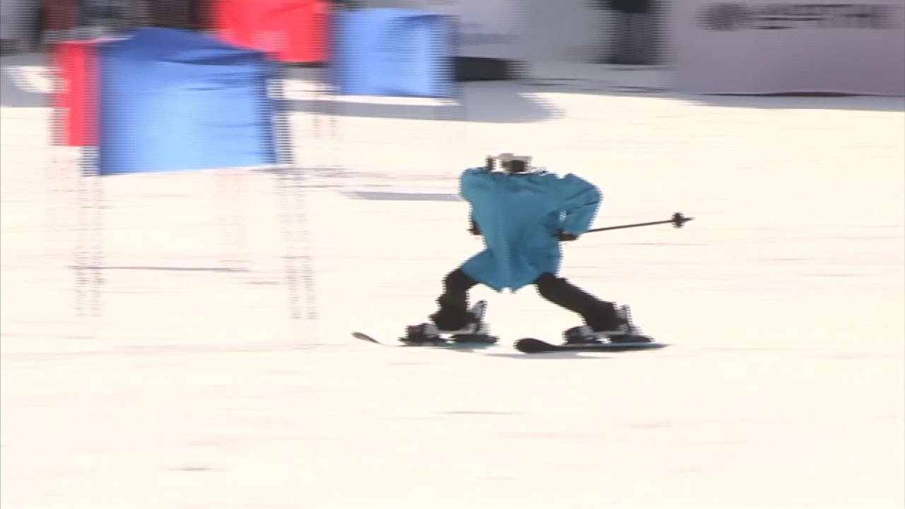 skiing robot south korea