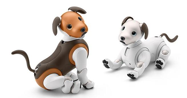 Sony launches anniversary edition of aibo robot