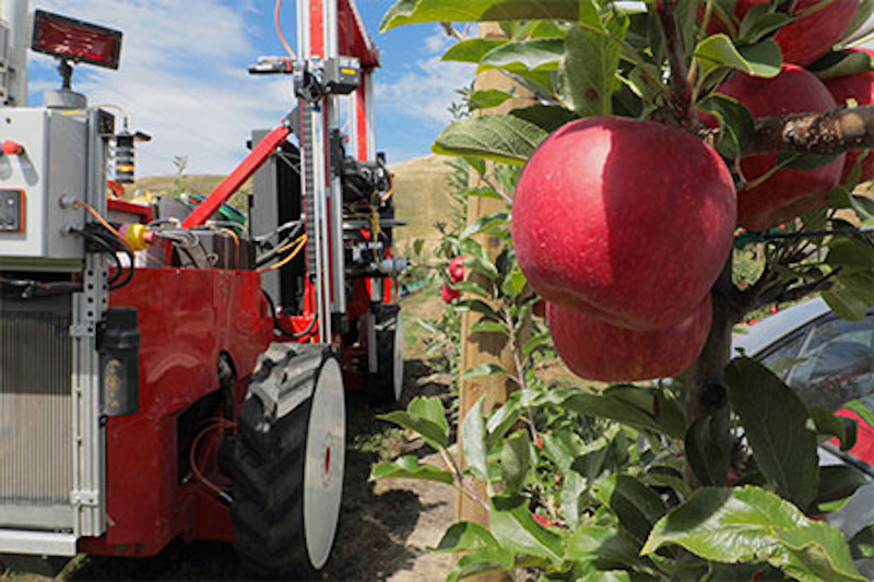 Abundant Robots launches to help farmers streamline harvesting process