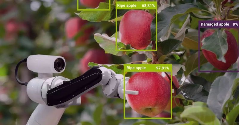 How Data Annotation Speeds Up the Development of AI Robots in the Agriculture Industry