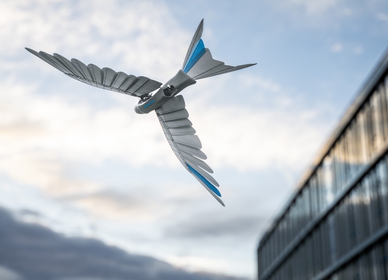 Festo showcases robot dragonfly and swift