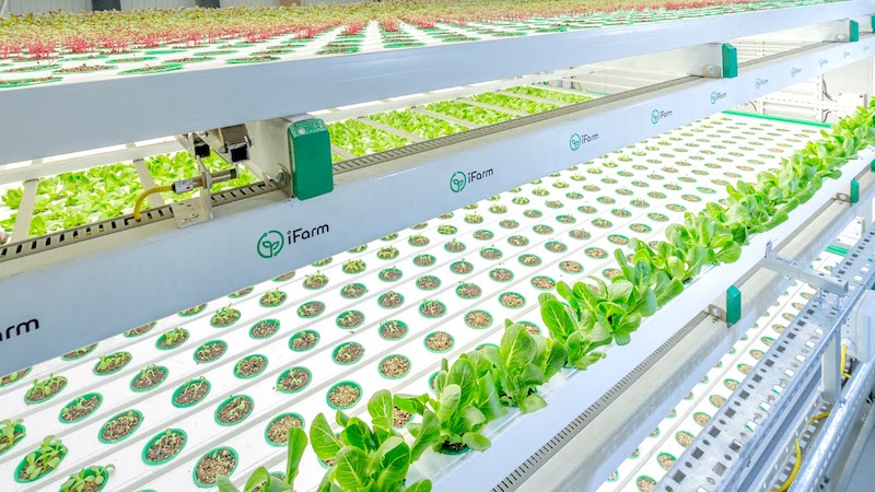 iFarm to build ‘world’s largest’ automated vertical farm in Mexico