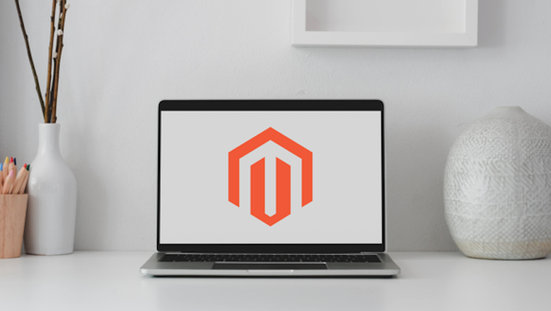 Complete Guide to Headless Magento