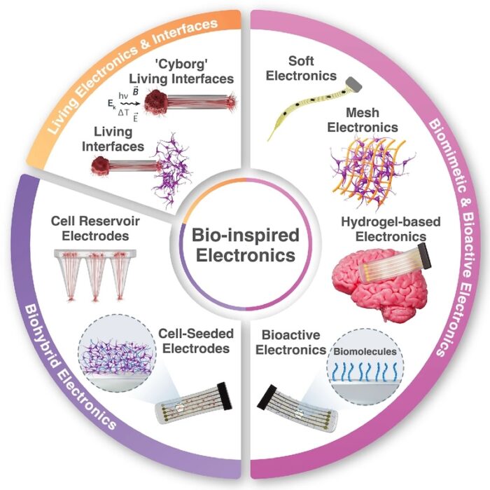 Ultra-thin silicon bioelectronics roadmap points to future of flexible ...
